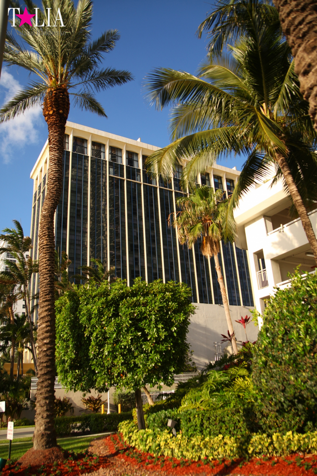 Yachts, Palms, Bay - The promenade of Middle Miami Beach, Collins Avenue